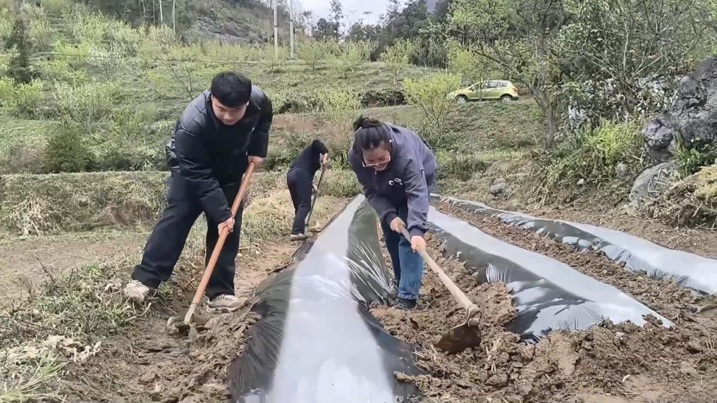 
上海华山医院黄牛代挂号电话票贩子号贩子网上预约挂号,住院检查加快,新华视点｜春潮涌动兴产业 多措并举促振兴