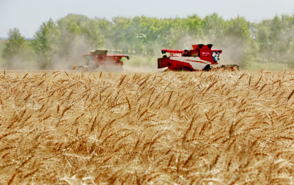 
杭州市一医院黄牛代挂号电话票贩子号贩子网上预约挂号,住院检查加快,“十五五”时期怎么干？新华社播发重磅政论！