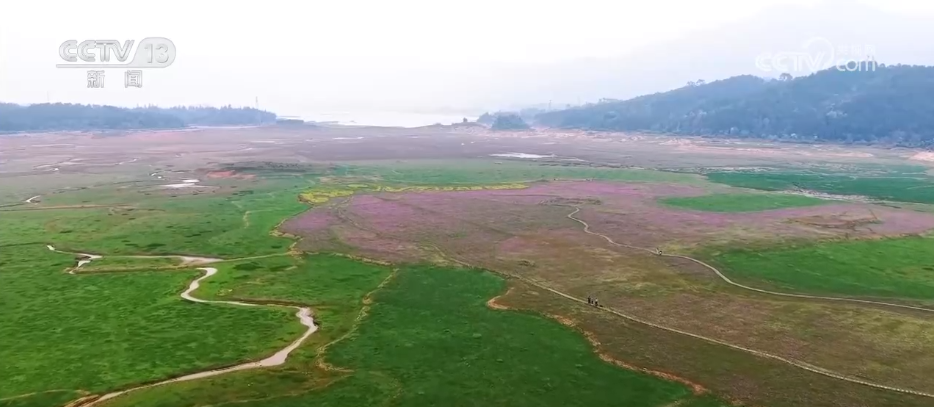 
南京各大医院黄牛代挂号电话票贩子号贩子网上预约挂号,住院检查加快,以花为媒解锁“赏花经济”新活力 沉浸式“春日嘉年华”焕发文旅“美丽”动能