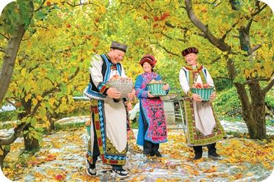 
北京空军总医院黄牛代挂号电话票贩子号贩子网上预约挂号,住院检查加快,中国苹果为什么又多又好吃（外国网友“趣”问中国）