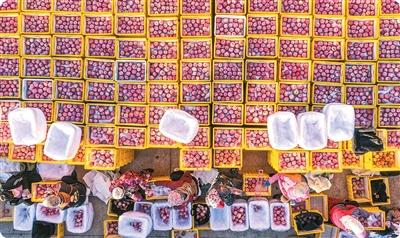 
北京空军总医院黄牛代挂号电话票贩子号贩子网上预约挂号,住院检查加快,中国苹果为什么又多又好吃（外国网友“趣”问中国）