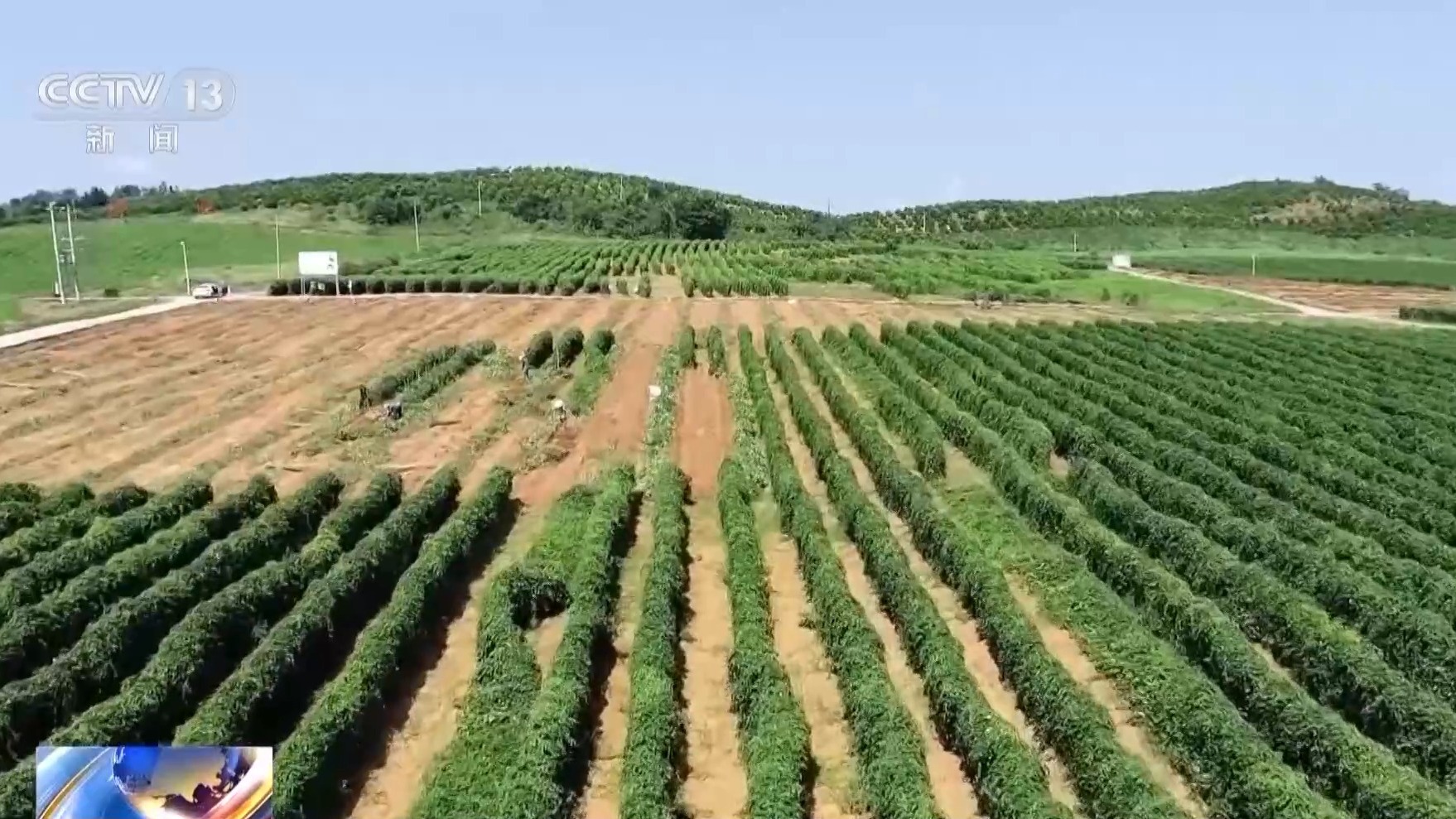 
北京同仁医院黄牛代挂号电话票贩子号贩子网上预约挂号,住院检查加快,视频丨助力外贸提质增效 2026年跨境贸易便利化专项行动启动