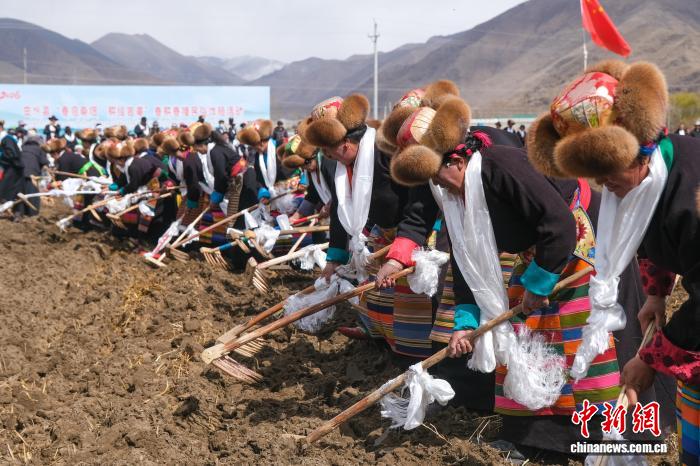 
浙江第二医院黄牛代挂号电话票贩子号贩子网上预约挂号,住院检查加快,西藏雅鲁藏布江畔春耕忙：传统仪式承载丰收祈愿