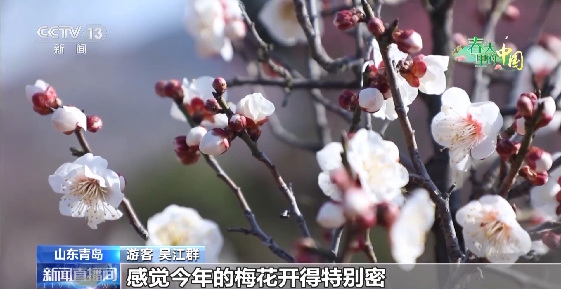 
上海市东方医院唐庆贺陈波黄安华赵刚徐安安黄牛挂号电话视频丨踏青赏花正当时 来这些地方邂逅春日浪漫