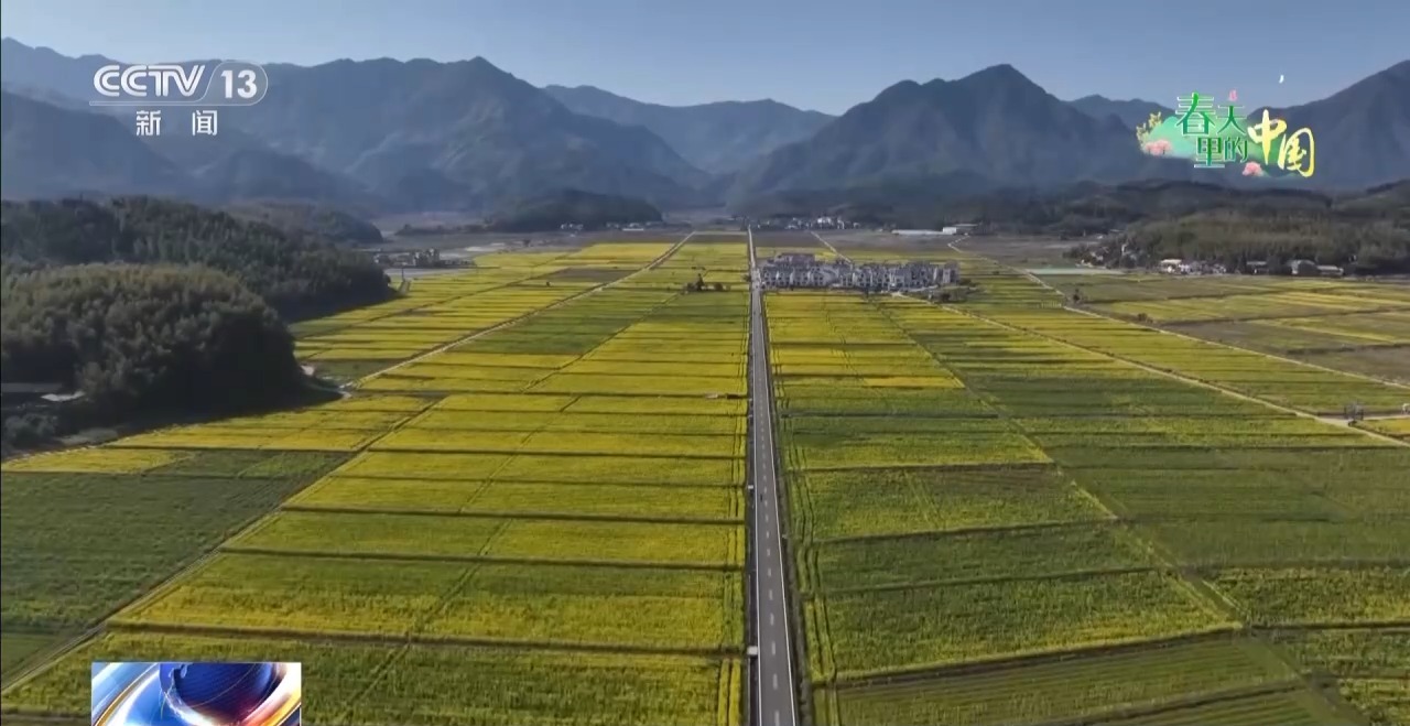 
上海市东方医院唐庆贺陈波黄安华赵刚徐安安黄牛挂号电话视频丨踏青赏花正当时 来这些地方邂逅春日浪漫