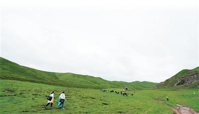 
杭州中医院黄牛代挂号电话票贩子号贩子网上预约挂号,住院检查加快,加速构建AI全链条防治包虫病体系（退病录）