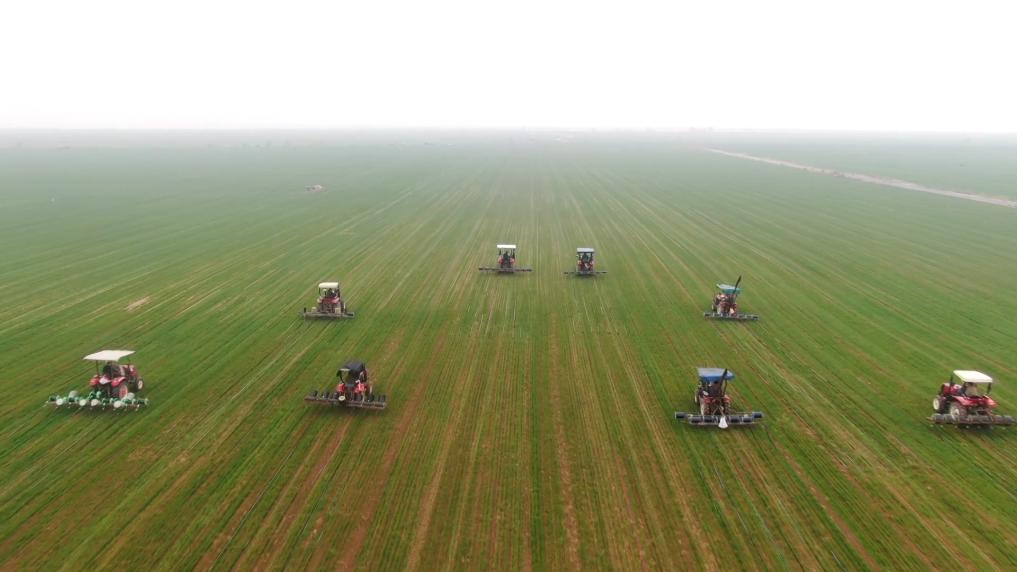 
上海华山医院黄牛代挂号电话票贩子号贩子网上预约挂号,住院检查加快,新华视点｜春潮涌动兴产业 多措并举促振兴