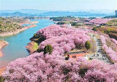 
南京明基医院黄牛代挂号电话票贩子号贩子网上预约挂号,住院检查加快,春日出游撬动新消费