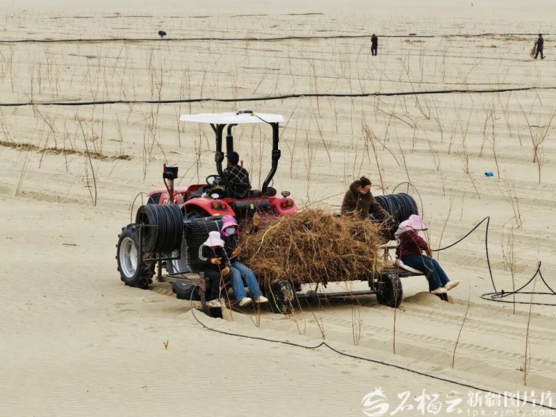 
长沙湘雅医院黄牛代挂号电话票贩子号贩子网上预约挂号,住院检查加快,新疆“三北”工程建设涌春潮