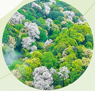 
西安市儿童医院黄牛代挂号电话票贩子号贩子网上预约挂号,住院检查加快,守护·见证