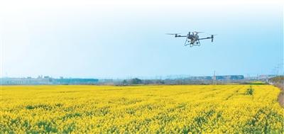 
北京朝阳医院黄牛代挂号电话票贩子号贩子网上预约挂号,住院检查加快,春耕春管里的“科技范儿”