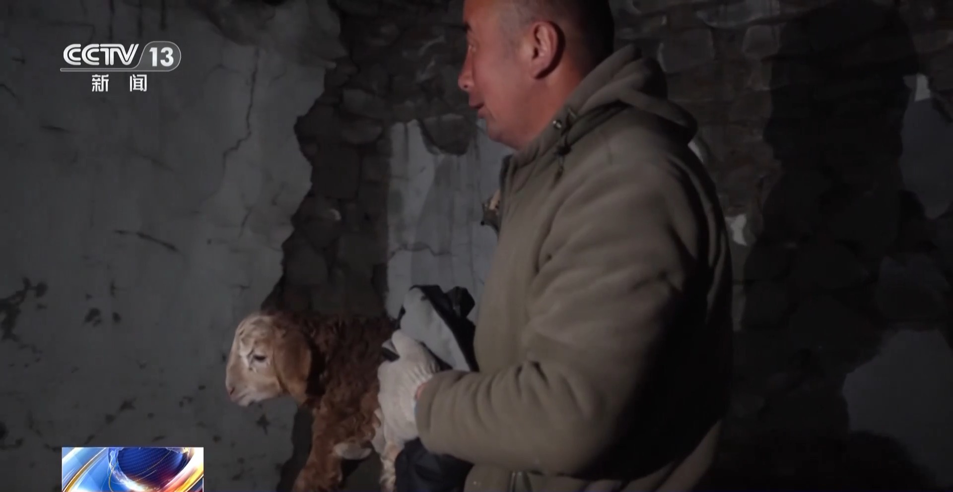 
杭州市一医院黄牛代挂号电话票贩子号贩子网上预约挂号,住院检查加快,视频丨20万余头牛羊“搬家”进行中 阿勒泰春季转场有多壮观