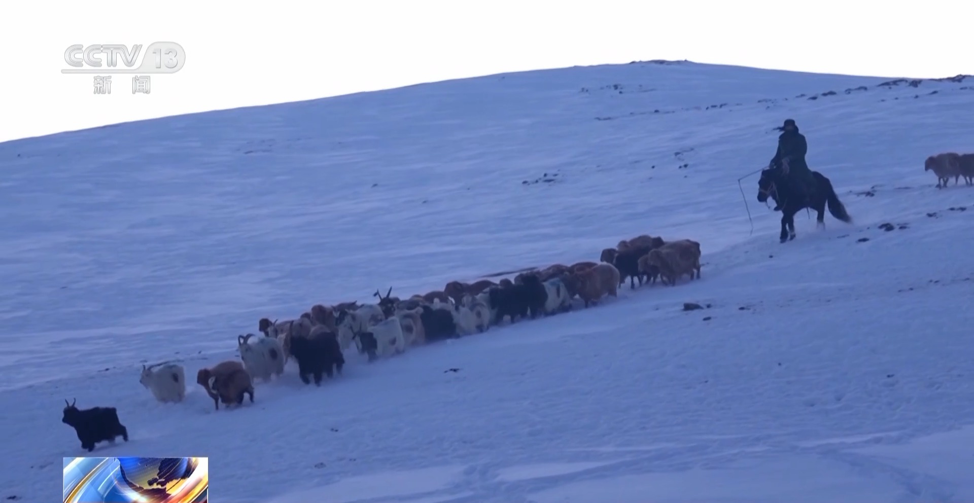 
杭州市一医院黄牛代挂号电话票贩子号贩子网上预约挂号,住院检查加快,视频丨20万余头牛羊“搬家”进行中 阿勒泰春季转场有多壮观