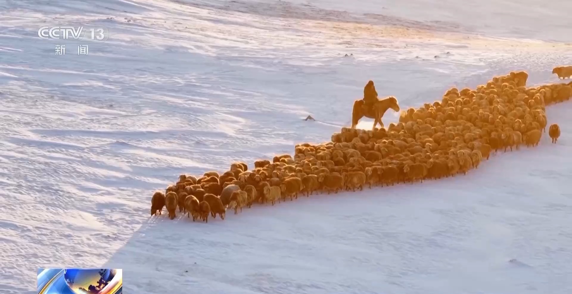 
杭州市一医院黄牛代挂号电话票贩子号贩子网上预约挂号,住院检查加快,视频丨20万余头牛羊“搬家”进行中 阿勒泰春季转场有多壮观