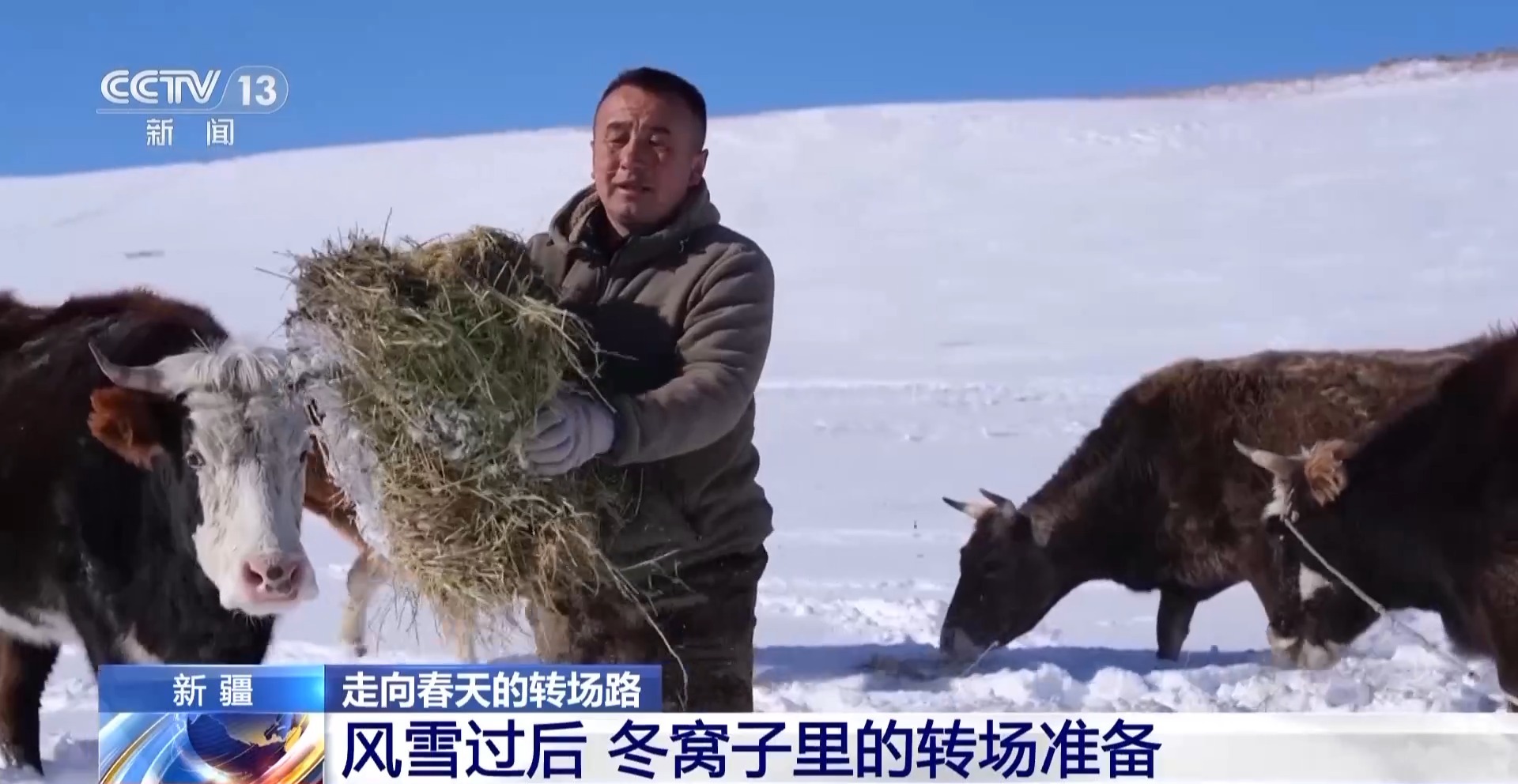 
杭州市一医院黄牛代挂号电话票贩子号贩子网上预约挂号,住院检查加快,视频丨20万余头牛羊“搬家”进行中 阿勒泰春季转场有多壮观