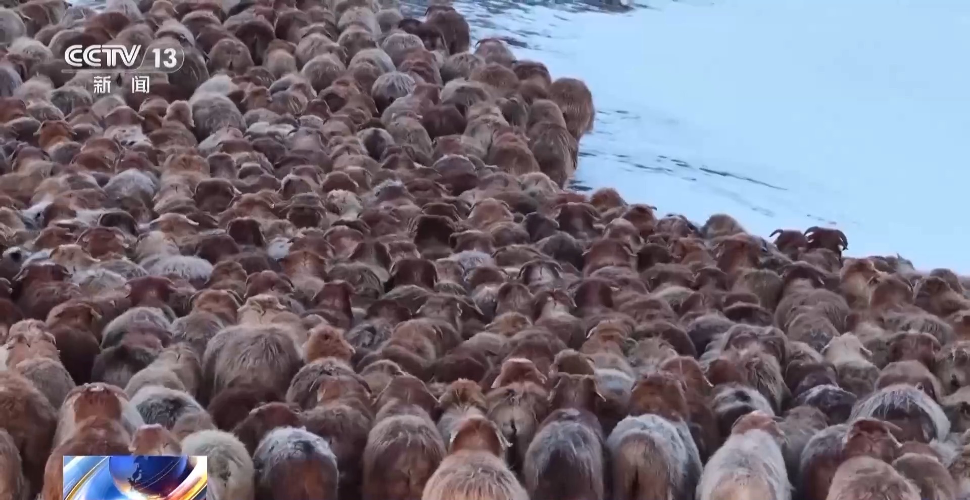 
杭州市一医院黄牛代挂号电话票贩子号贩子网上预约挂号,住院检查加快,视频丨20万余头牛羊“搬家”进行中 阿勒泰春季转场有多壮观