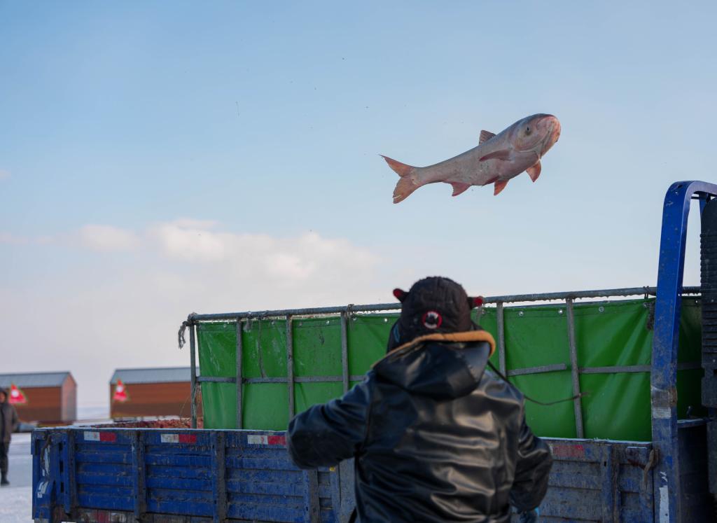 
上海龙华医院黄牛代挂号电话票贩子号贩子网上预约挂号,住院检查加快,新华鲜报｜约占全球56%！中国渔业好“丰”景