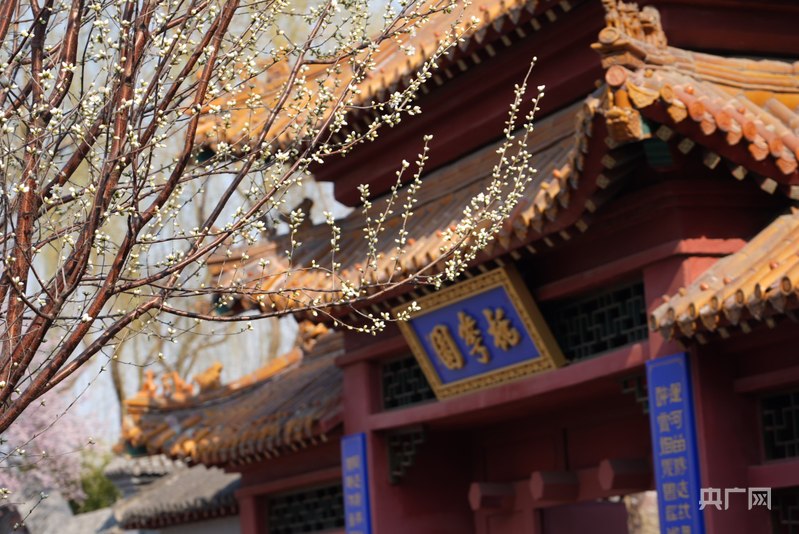 
西安市儿童医院黄牛代挂号电话票贩子号贩子网上预约挂号,住院检查加快,大战略牵引新开局丨运河畔站产城相融 “花经济”映亮“融合红”