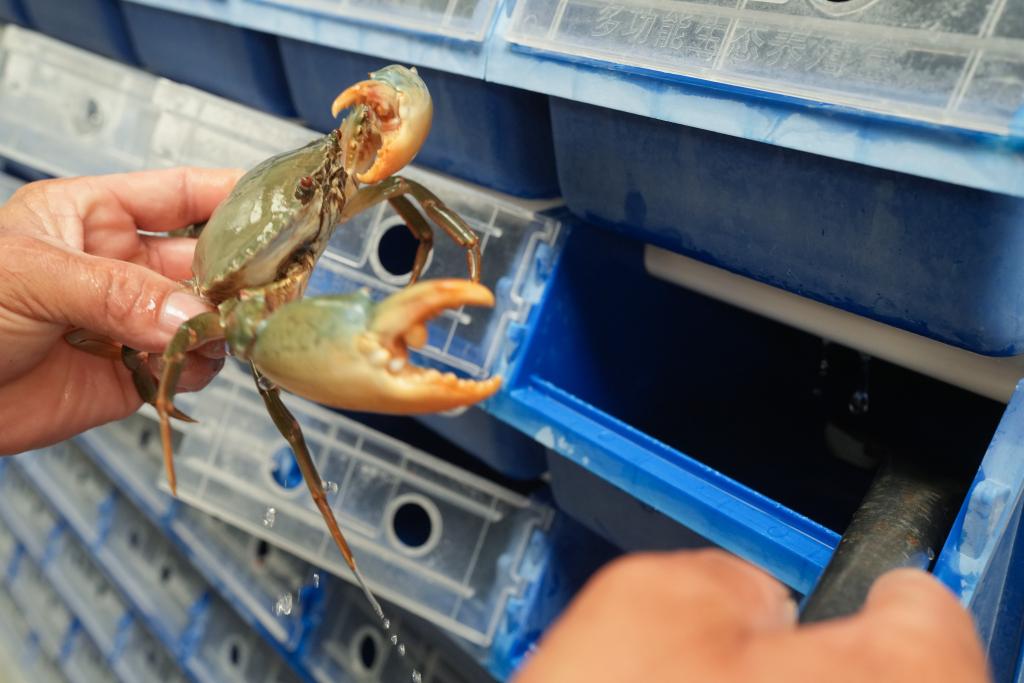 
上海龙华医院黄牛代挂号电话票贩子号贩子网上预约挂号,住院检查加快,新华鲜报｜约占全球56%！中国渔业好“丰”景