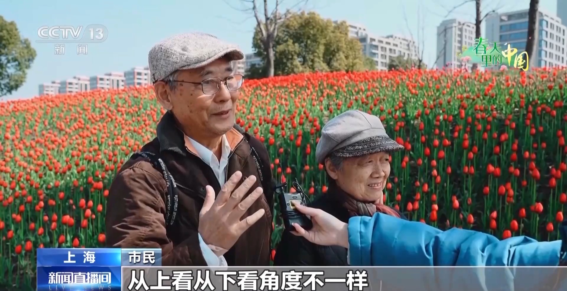 
北京阜外医院黄牛代挂号电话票贩子号贩子网上预约挂号,住院检查加快,踏青赏花正当时 这些地方藏着春日浪漫花海