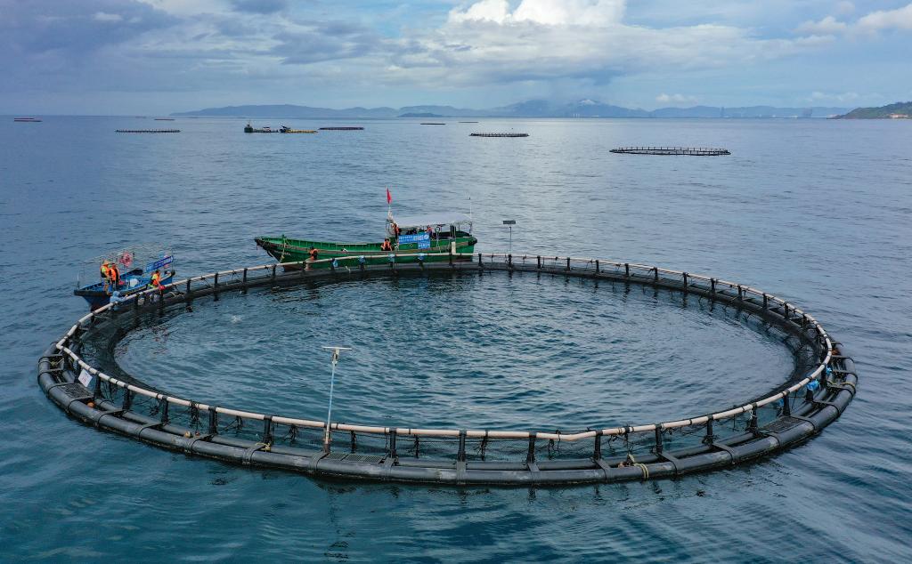 
上海龙华医院黄牛代挂号电话票贩子号贩子网上预约挂号,住院检查加快,新华鲜报｜约占全球56%！中国渔业好“丰”景