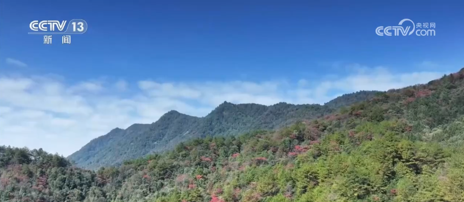 杭州市富阳中医骨伤医院黄牛代挂号电话票贩子号贩子网上预约挂号,住院检查加快,36亿亩、25.09%,双增长!“植”此青绿绘就美丽中国新画卷