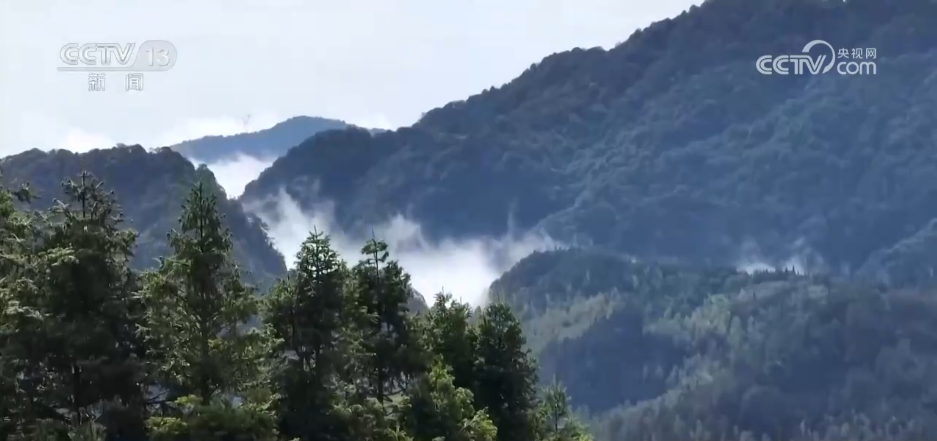 杭州市富阳中医骨伤医院黄牛代挂号电话票贩子号贩子网上预约挂号,住院检查加快,36亿亩、25.09%,双增长!“植”此青绿绘就美丽中国新画卷