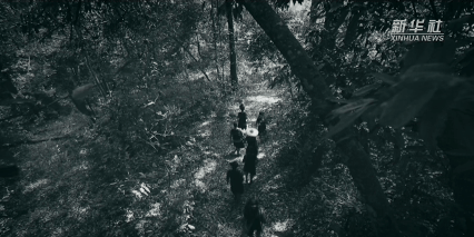 
成都华西医院黄牛代挂号电话票贩子号贩子网上预约挂号,住院检查加快,习近平讲述的故事｜石碑上的团结誓言