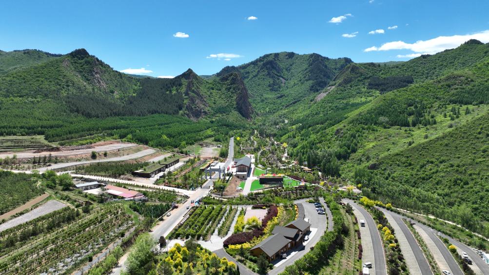 
广州儿童医院黄牛代挂号电话票贩子号贩子网上预约挂号,住院检查加快,习近平总书记关切事｜以林为笔的生态答卷