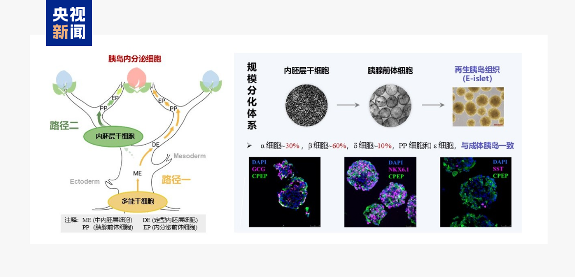 上海中山医院黄牛代挂号电话票贩子号贩子网上预约挂号,住院检查加快,全球首次、硬核突破!本周,我国多领域成果密集“上新”
