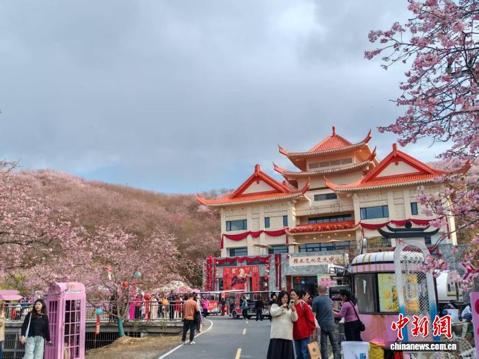 
上海华山医院黄牛代挂号电话票贩子号贩子网上预约挂号,住院检查加快,台胞扎根福建三明共绘融合图景