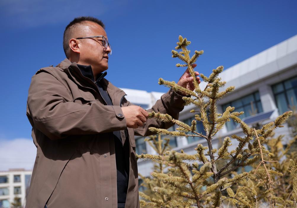 
北京中医院黄牛代挂号电话票贩子号贩子网上预约挂号,住院检查加快,西藏那曲：用科技唤醒“高原绿”