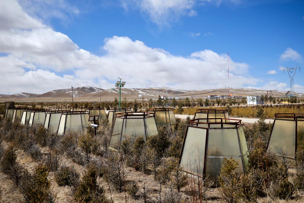 
北京中医院黄牛代挂号电话票贩子号贩子网上预约挂号,住院检查加快,西藏那曲：用科技唤醒“高原绿”