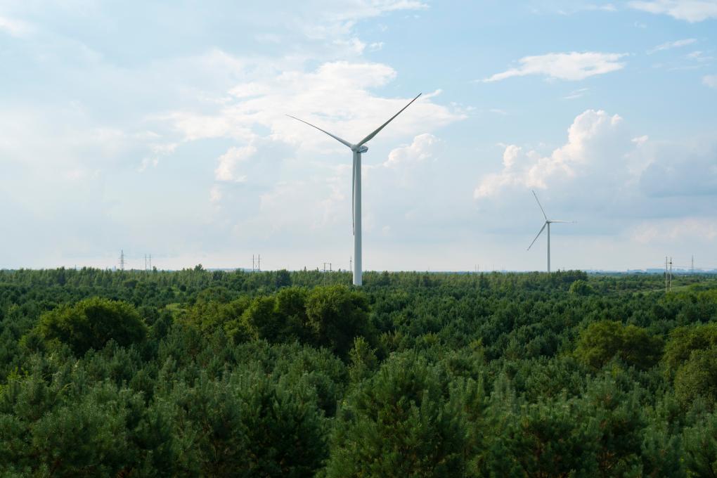 
广州儿童医院黄牛代挂号电话票贩子号贩子网上预约挂号,住院检查加快,习近平总书记关切事｜以林为笔的生态答卷