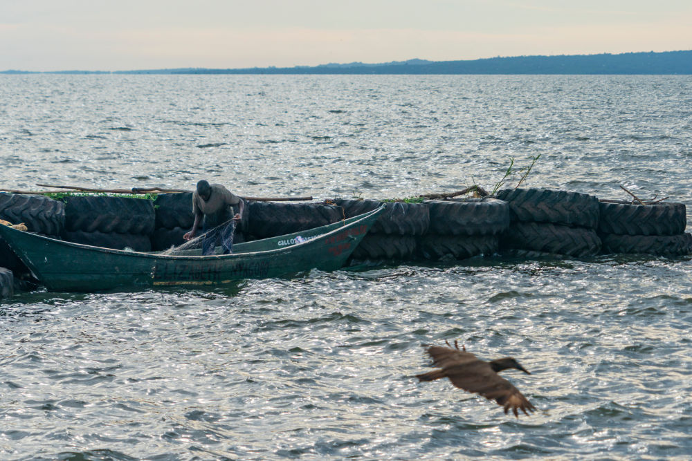 
广州中山眼科医院黄牛代挂号电话票贩子号贩子网上预约挂号,住院检查加快,中非“双湖记”：鄱阳湖与维多利亚湖生态共治影像志