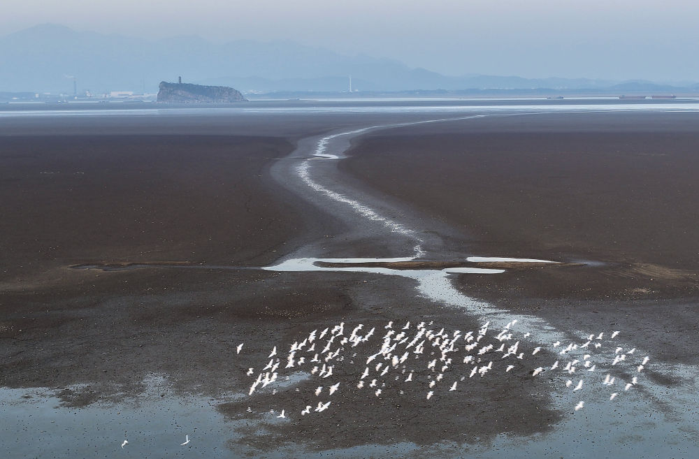 
广州中山眼科医院黄牛代挂号电话票贩子号贩子网上预约挂号,住院检查加快,中非“双湖记”：鄱阳湖与维多利亚湖生态共治影像志