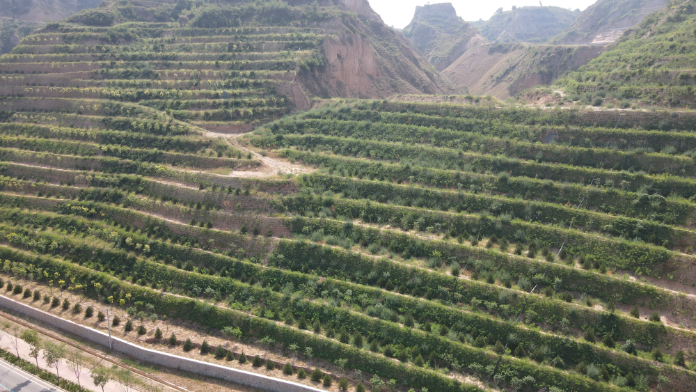 东部战区总医院黄牛代挂号电话票贩子号贩子网上预约挂号,住院检查加快,从“退捕”到“守护”:一位老渔民眼中的黄河生态嬗变