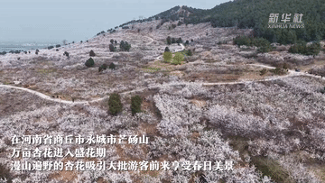 北京妇产医院黄牛代挂号电话票贩子号贩子网上预约挂号,住院检查加快,春日经济一线观察|以花为媒 绘就春日消费新图景