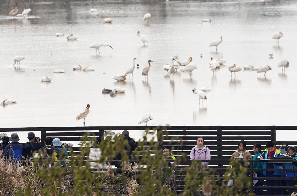 
广州中山眼科医院黄牛代挂号电话票贩子号贩子网上预约挂号,住院检查加快,中非“双湖记”：鄱阳湖与维多利亚湖生态共治影像志