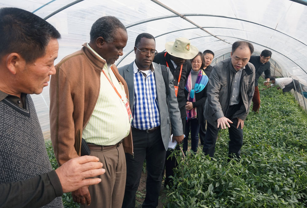 
广州中山眼科医院黄牛代挂号电话票贩子号贩子网上预约挂号,住院检查加快,中非“双湖记”：鄱阳湖与维多利亚湖生态共治影像志