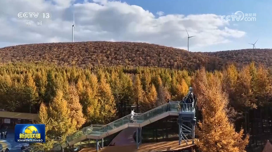 
杭州市富阳中医骨伤医院黄牛代挂号电话票贩子号贩子网上预约挂号,住院检查加快,我国森林资源持续增长 成全球增绿主力