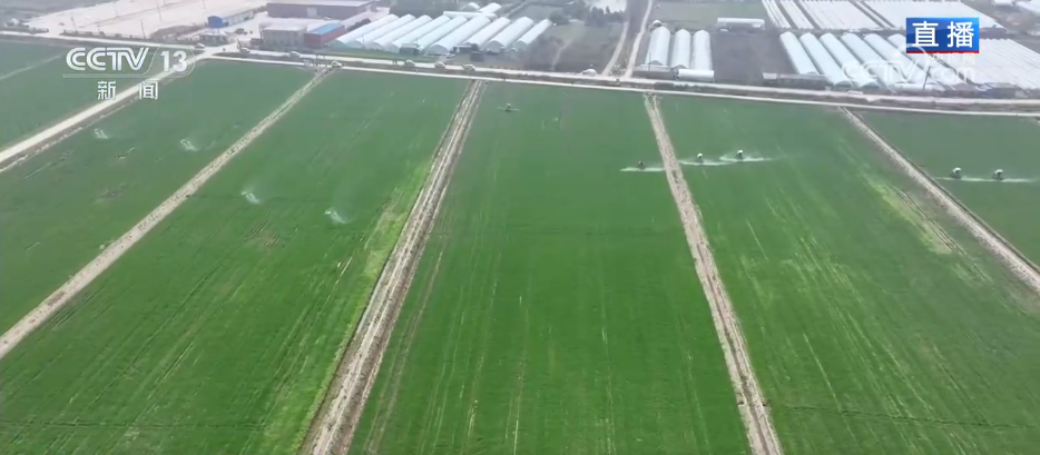 
首都医科院整形外科医院黄牛代挂号电话票贩子号贩子网上预约挂号,住院检查加快,争农时、抢春管、推技术、保丰产 农业科技助力下好春耕生产“先手棋”