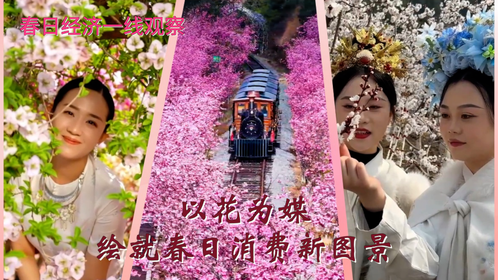 北京妇产医院黄牛代挂号电话票贩子号贩子网上预约挂号,住院检查加快,春日经济一线观察|以花为媒 绘就春日消费新图景