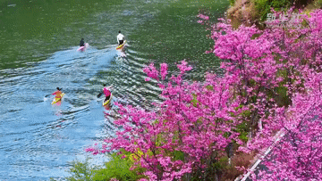 北京妇产医院黄牛代挂号电话票贩子号贩子网上预约挂号,住院检查加快,春日经济一线观察|以花为媒 绘就春日消费新图景