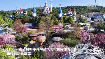 北京妇产医院黄牛代挂号电话票贩子号贩子网上预约挂号,住院检查加快,春日经济一线观察|以花为媒 绘就春日消费新图景