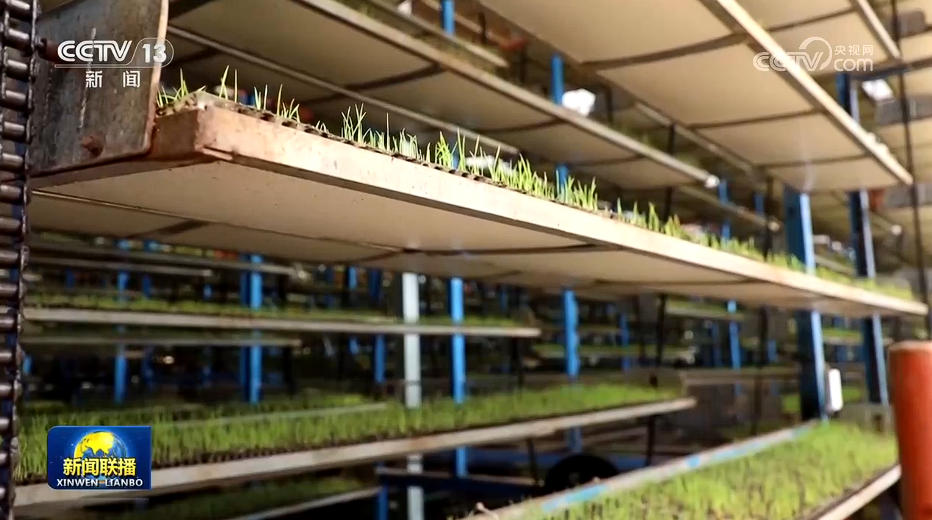 
北京鼓楼医院孙凌云黄牛代挂号电话票贩子号贩子网上预约挂号,住院检查加快,【在希望的田野上】全国春耕备耕有序推进