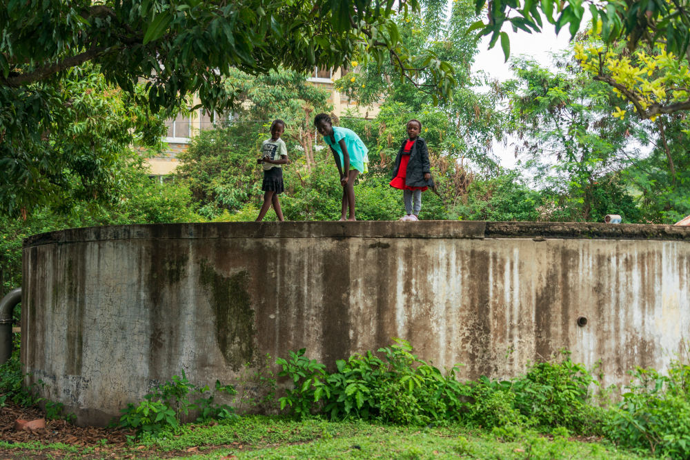 
广州中山眼科医院黄牛代挂号电话票贩子号贩子网上预约挂号,住院检查加快,中非“双湖记”：鄱阳湖与维多利亚湖生态共治影像志