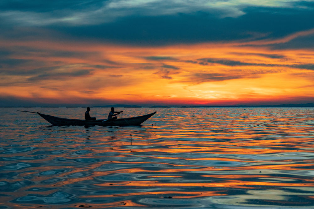 
广州中山眼科医院黄牛代挂号电话票贩子号贩子网上预约挂号,住院检查加快,中非“双湖记”：鄱阳湖与维多利亚湖生态共治影像志