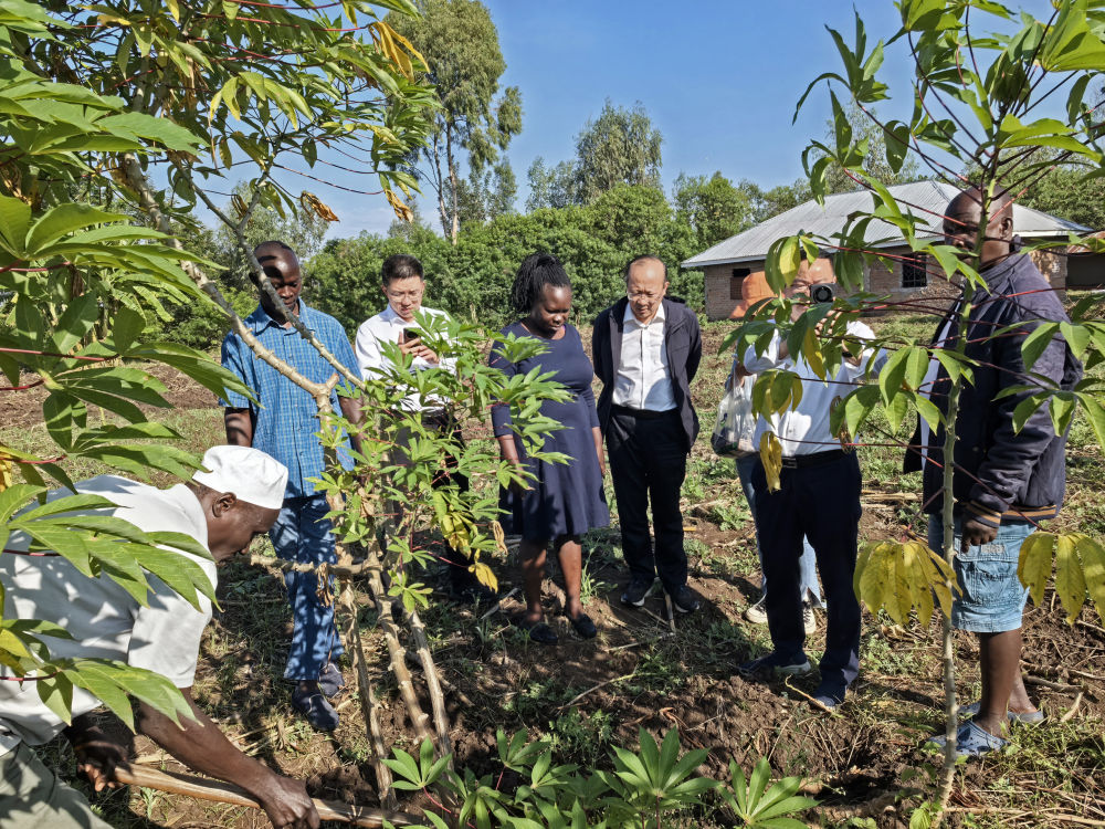 
广州中山眼科医院黄牛代挂号电话票贩子号贩子网上预约挂号,住院检查加快,中非“双湖记”：鄱阳湖与维多利亚湖生态共治影像志