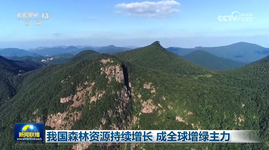 
杭州市富阳中医骨伤医院黄牛代挂号电话票贩子号贩子网上预约挂号,住院检查加快,我国森林资源持续增长 成全球增绿主力